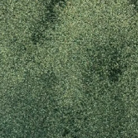 JUNGLE GREEN